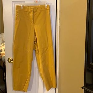 🌟Never worn! Lane Bryant “The Allie” style pants
